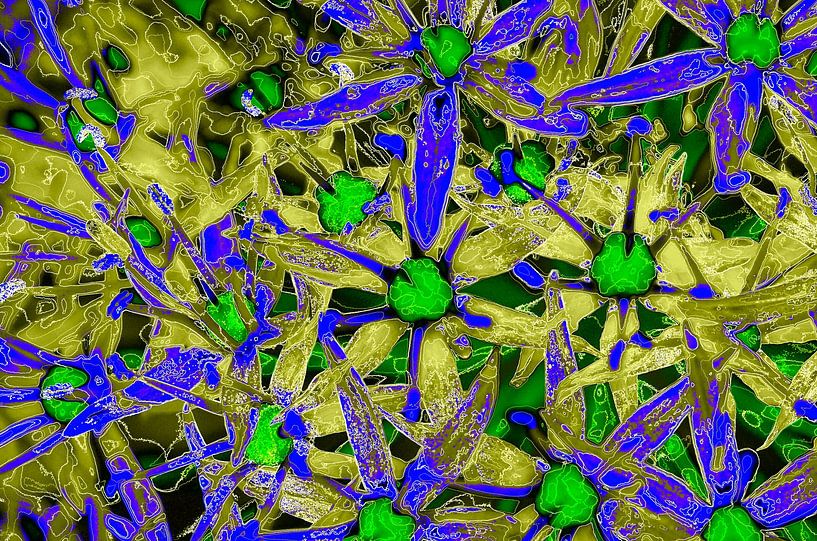 Fleurs en bleu et jaune par De Rover