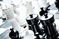 Chess pieces by Eddy Westdijk thumbnail