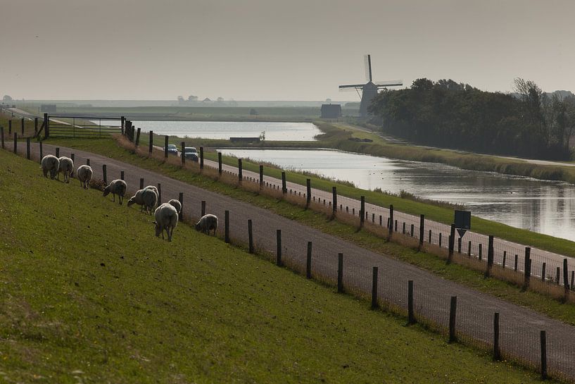 Texel Landschap by Arjan Benders
