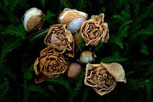 Rosenblüten-Arrangement