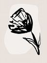 Delicate Line No 38 by Treechild thumbnail