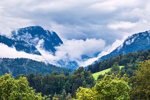 Landschaft mit Bergen und Bäumen im Berchtesgardener Land