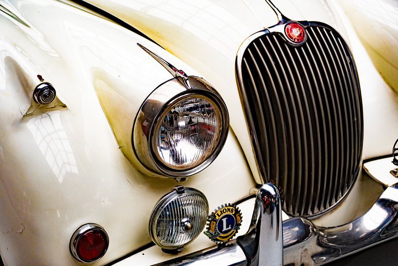 Jaguar von Truckpowerr