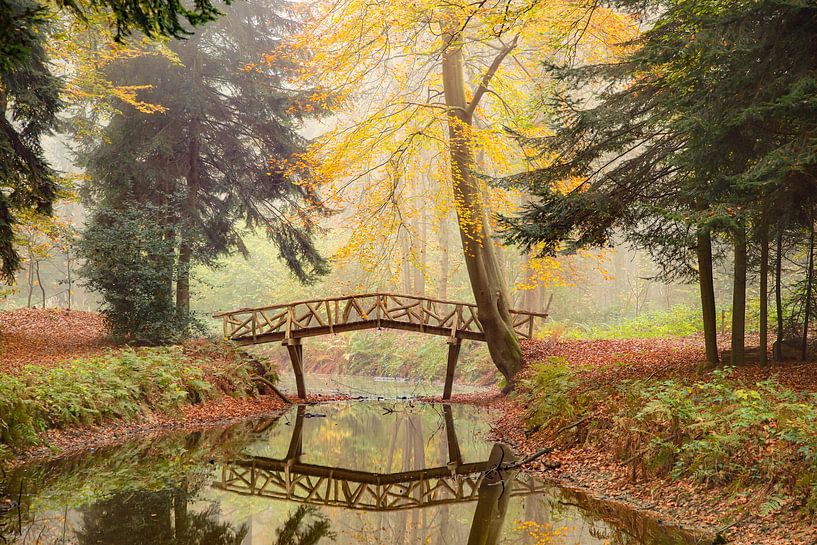 Bridge by Rianne Zuur