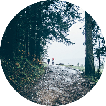 Wandelen in de regen van Patrycja Polechonska