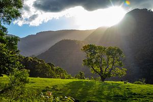 New South Wales, Australie