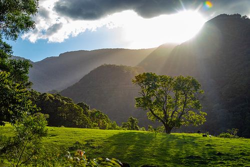 New South Wales, Australie