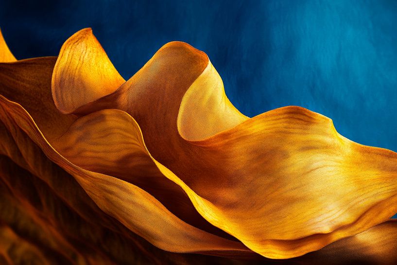 Goldene Wellenform von Poster Art Shop