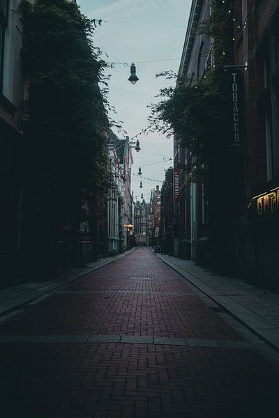 Amsterdam by Hello Pompoyo