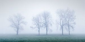 Matin brumeux dans l'Alblasserwaard sur Halma Fotografie