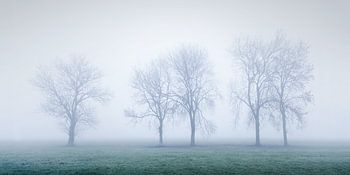 Nebliger Morgen in der Alblasserwaard