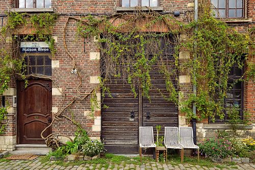 Gevel met klimplanten in Gent