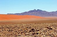 Namibië | Woestijnlandschap van Inge Hogenbijl thumbnail
