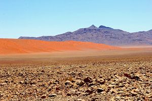 Namibia | Wüstenlandschaft