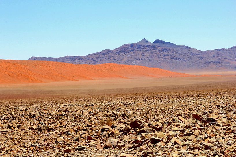 Namibie | Paysage désertique par Inge Hogenbijl