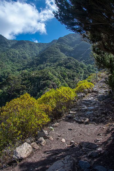 Wandelpad met prachtig uitzicht in het Anagagebergte op Tenerife van David Esser