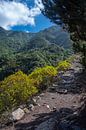 Wandelpad met prachtig uitzicht in het Anagagebergte op Tenerife van David Esser thumbnail