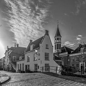 Havik Amersfoort met de Elleboogkerk op de achtergrond van Aad Trompert