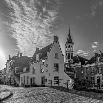 Havik Amersfoort met de Elleboogkerk op de achtergrond van Aad Trompert