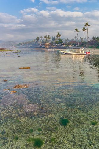 Coral at the coast of Candidasa