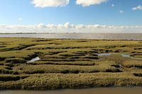 Vue sur la rivière Ems
