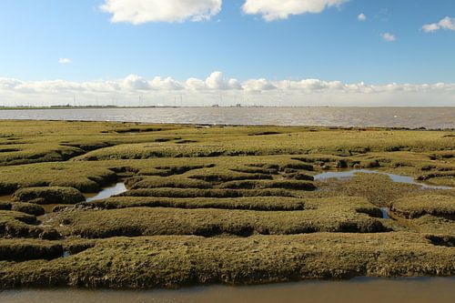 Uitzicht over de rivier de Eems