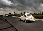 Beetle rolling van Sonia Alhambra Mosquera thumbnail