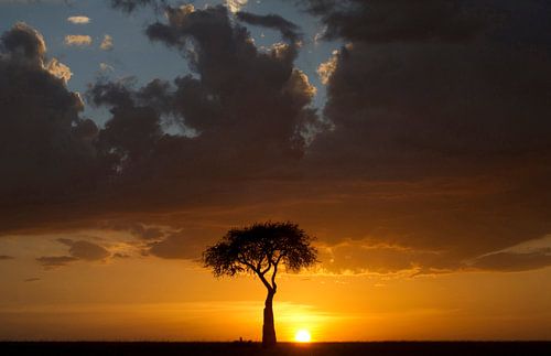 Ondergaande zon op de savanne van de Masai Mara, Kenia.