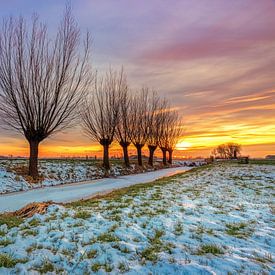 Gießener Polder, Land von Altena, Nordbrabant von Sugar_bee_photography