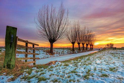 Gießener Polder, Land von Altena, Nordbrabant von Sugar_bee_photography