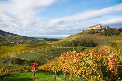 Kasteel Staufenberg in Durbach