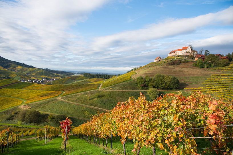 Burg Staufenberg in Durbach von Tanja Voigt