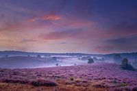 National Park Veluwezoom