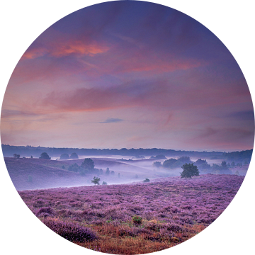 Nationaal Park Veluwezoom van Dennis Donders