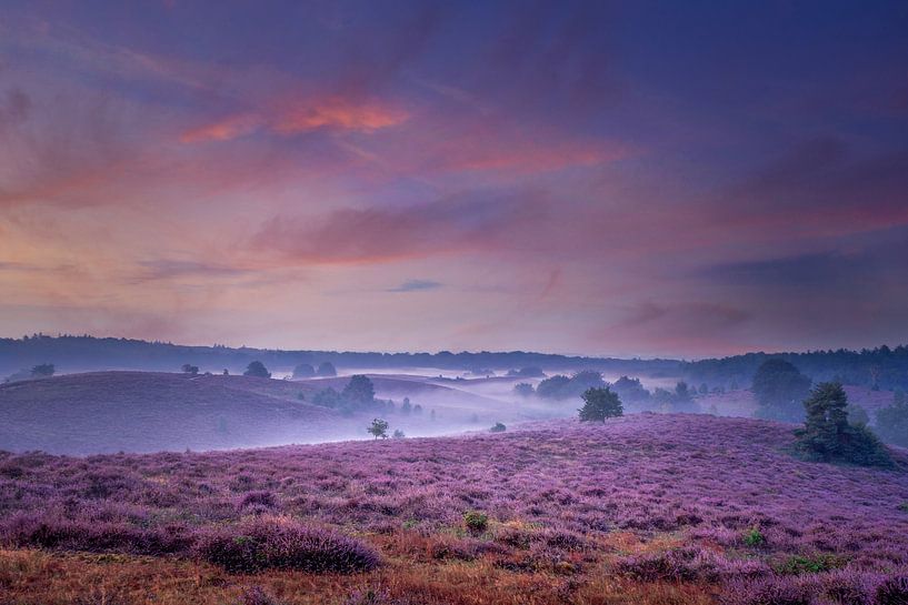 National Park Veluwezoom by Dennis Donders