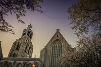 Sint-Gertrudis Church in Mons op Zoom
