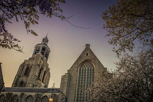 Sint-Gertrudis-Kirche in Mons op Zoom
