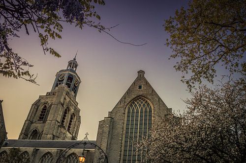 Sint-Gertrudiskerk in Bergen op Zoom