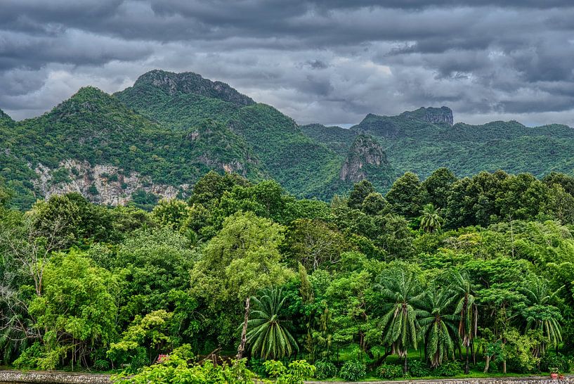 Thaise Jungle aan de Kwai rivier van Joran Quinten