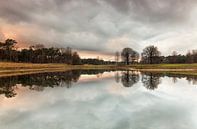Reflectie van wolken in het bos, Nederland van Sebastian Rollé - travel, nature & landscape photography thumbnail