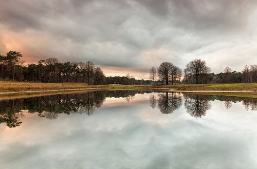 Reflectie van wolken in het bos, Nederland