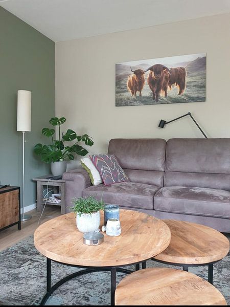 Schotse Hooglanders