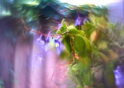 Creatief met bloemen (2)