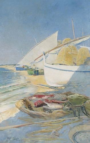 Arcadi Mas i Fondevila-Visserij