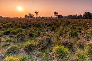 Landschaft_01