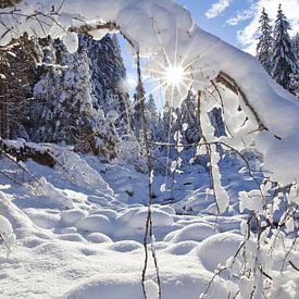 Rideau de neige dans le Zauchbach sur Christa Kramer