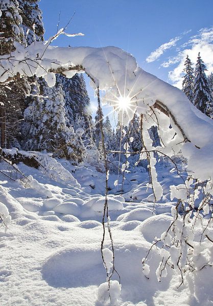 Snow curtain in the Zauchbach by Christa Kramer