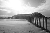 Palissade sur la plage