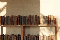 Antique bookcase with old books in the sunlight