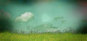 Daydreaming in the meadow by Stephanie Köhl